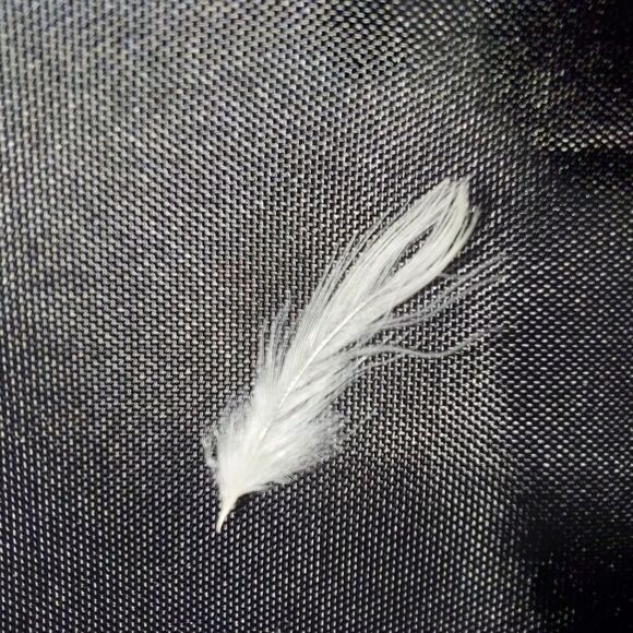 OCHIRLY Down Filled coat - Picture 7 of 9